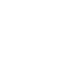 logo icone sevanova en forme de croix blanche et floue